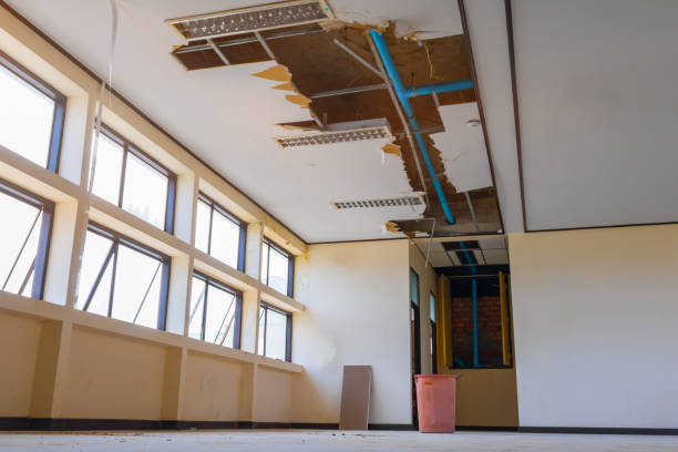 Best Sewage cleanup and water damage restoration  in Herricks, NY
