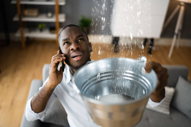 Best Residential water damage restoration  in Herricks, NY