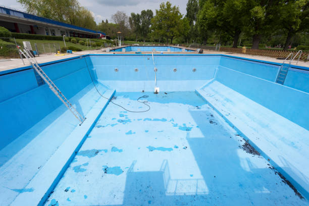 Best Carpet water damage restoration  in Herricks, NY