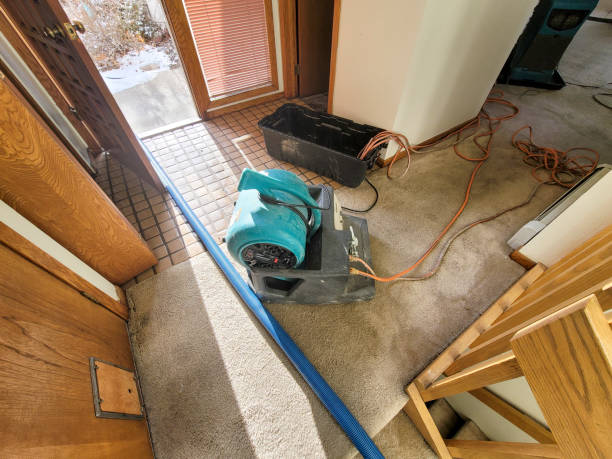 Best Flooded house restoration  in Herricks, NY