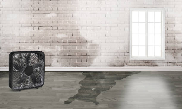 Best 24/7 water damage repair  in Herricks, NY