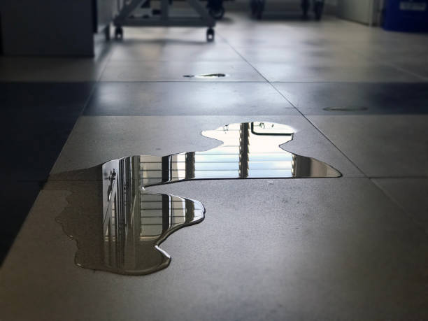 Best Commercial water damage restoration  in Herricks, NY