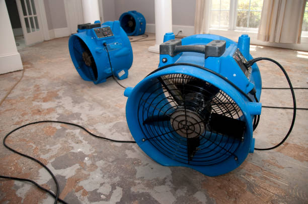 Best Water damage restoration process  in Herricks, NY