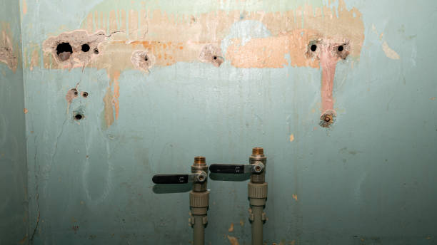 Best Water damage contractors near me  in Herricks, NY