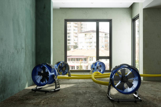 Best Basement water damage restoration  in Herricks, NY