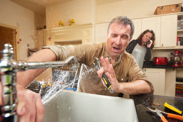 Best Professional water damage repair  in Herricks, NY